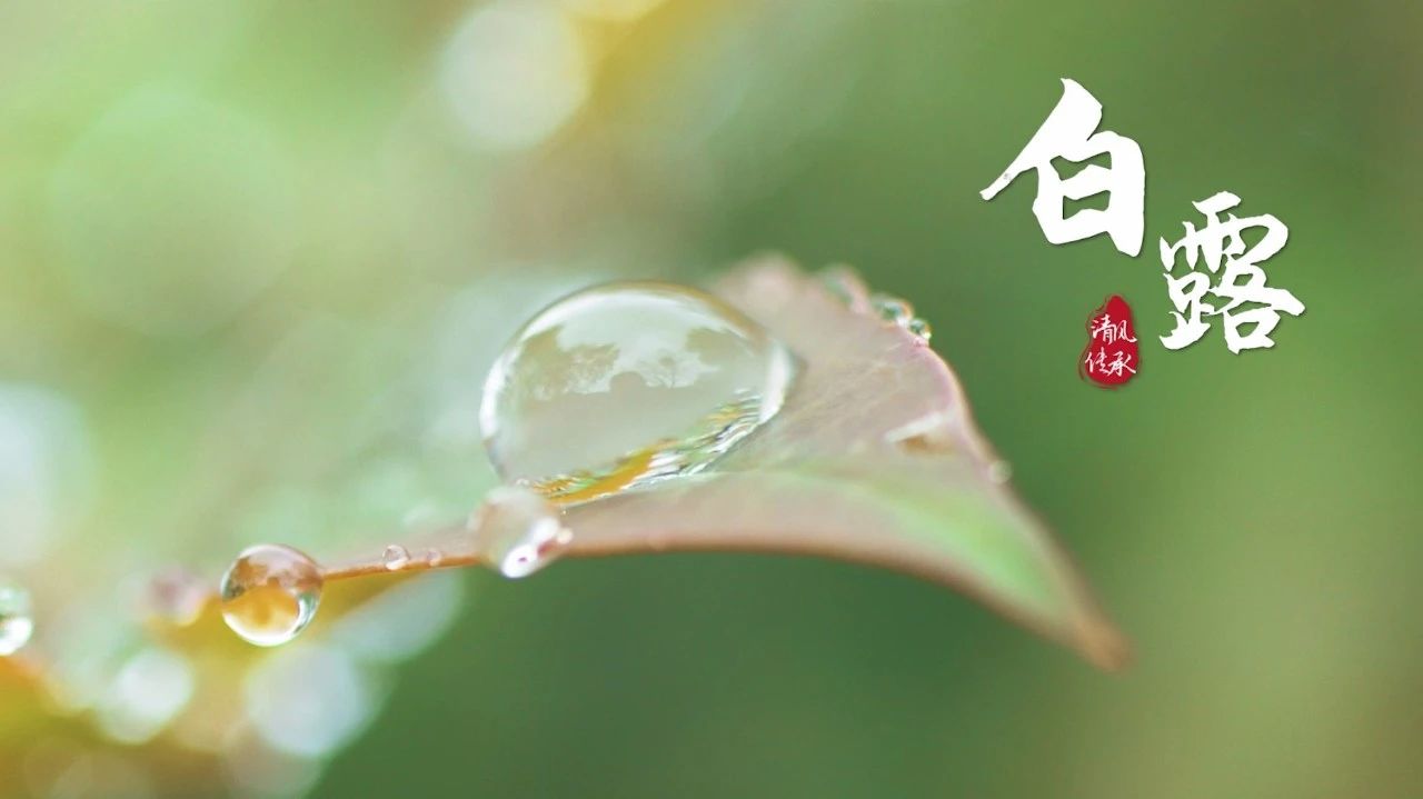 清風(fēng)·傳承丨白露：開(kāi)筆啟智 人生始立